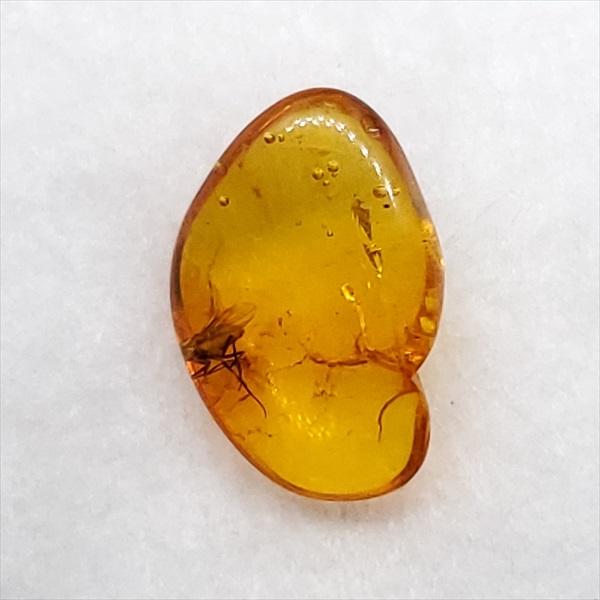 美品 虫入り琥珀 琥珀 化石 本物 バルト海産 ケース付き 10.75mm