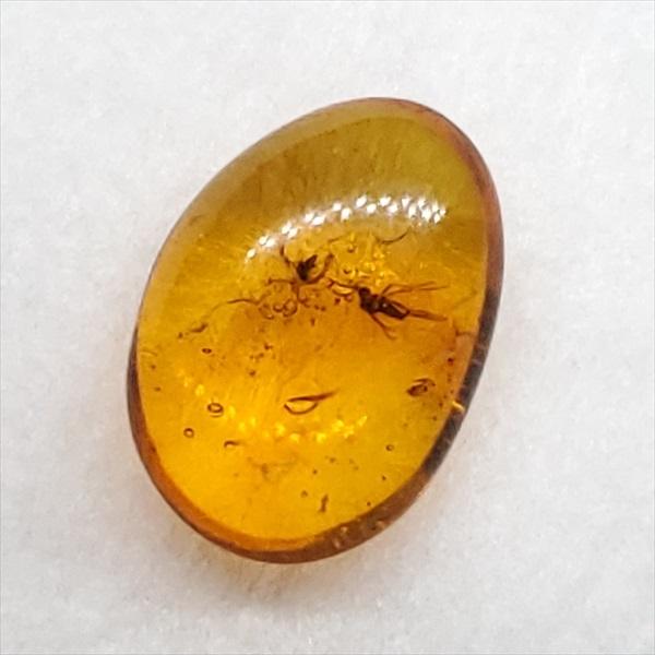 美品 虫入り琥珀 琥珀 化石 本物 バルト海産 ケース付き 10.30mm