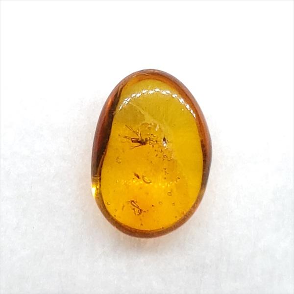 美品 虫入り琥珀 琥珀 化石 本物 バルト海産 ケース付き 10.30mm