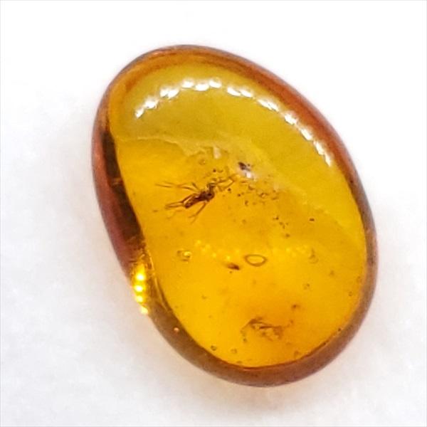 美品 虫入り琥珀 琥珀 化石 本物 バルト海産 ケース付き 10.30mm