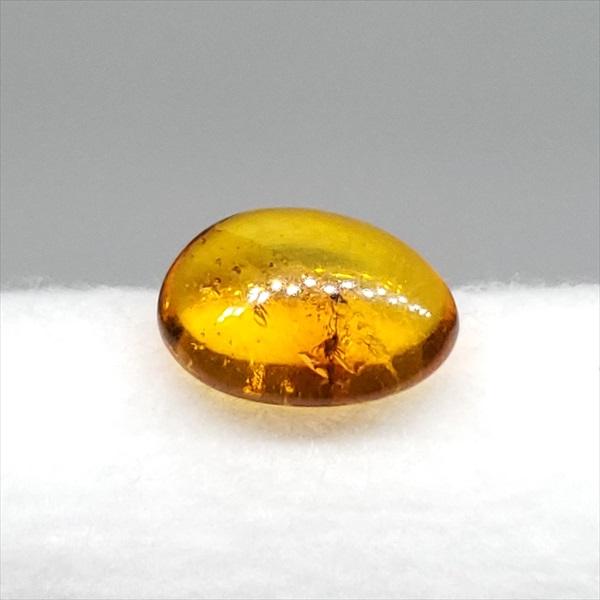 美品 虫入り琥珀 琥珀 化石 本物 バルト海産 ケース付き 10.30mm