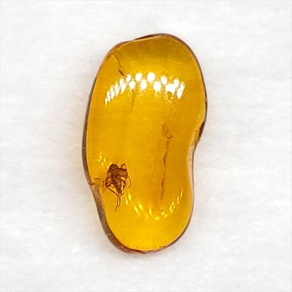 美品 虫入り琥珀 琥珀 化石 本物 バルト海産 ケース付き 13.29mm
