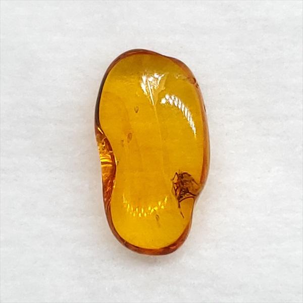 美品 虫入り琥珀 琥珀 化石 本物 バルト海産 ケース付き 13.29mm