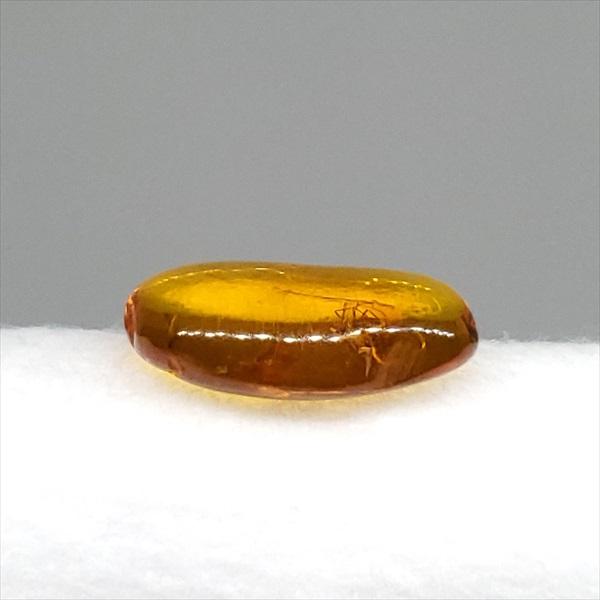 美品 虫入り琥珀 琥珀 化石 本物 バルト海産 ケース付き 13.29mm