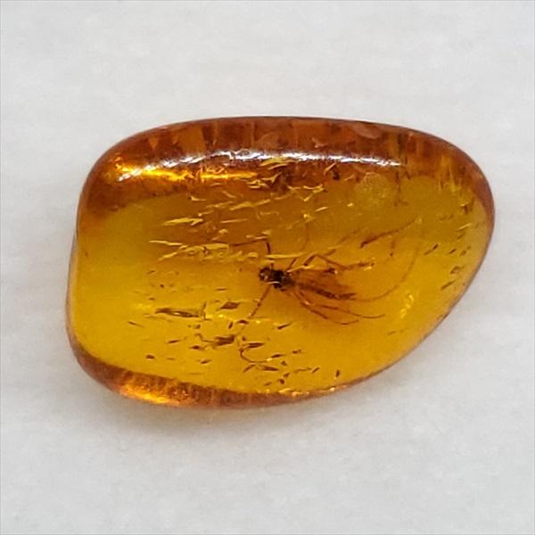 置物虫入琥珀 美品 虫入り琥珀 琥珀 化石 本物 バルト海産 ケース付き 11.03mm