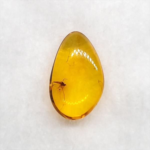 【化石】虫(蜂)入り琥珀 （台座付き） 美品 虫入り琥珀 琥珀 化石 本物 バルト海産 ケース付き 11.90mm