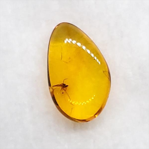 バルト海産　虫入り琥珀　12個セット　全て虫入り　本物保証　良いコンディション 美品 虫入り琥珀 琥珀 化石 本物 バルト海産 ケース付き 9.17mm