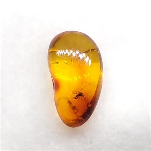 美品 虫入り琥珀 琥珀 化石 本物 バルト海産 ケース付き 12.17mm 