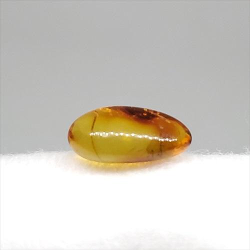 美品 虫入り琥珀 琥珀 化石 本物 バルト海産 ケース付き 12.17mm 