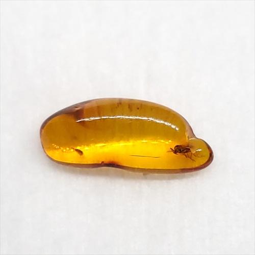 美品 虫入り琥珀 琥珀 化石 本物 バルト海産 ケース付き 15.35mm