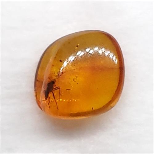 1747　虫入り琥珀　本物天然コハク 楽天市場】【バルト海の琥珀】 虫入り琥珀 こはく ギフト