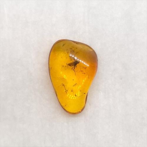 美品 虫入り琥珀 琥珀 化石 本物 バルト海産 ケース付き 10.01mm