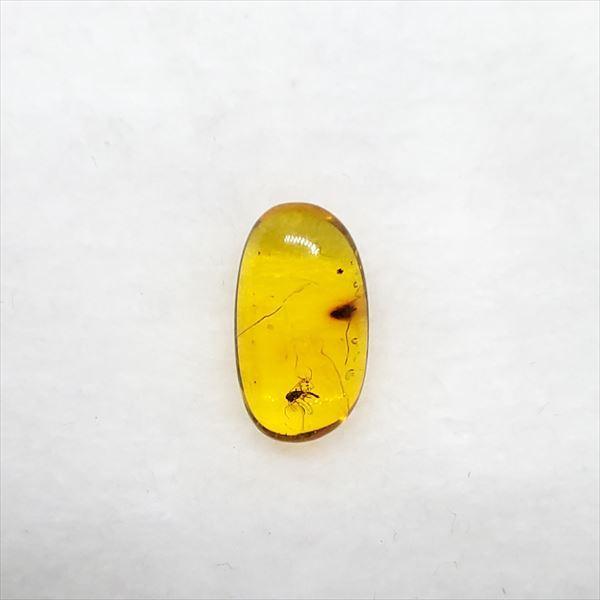 バルト海産　虫入り琥珀　12個セット　全て虫入り　本物保証　良いコンディション バルト海産 虫入り琥珀 12個セット 全て虫入り 本物保証 良い