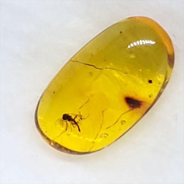 バルト海産　虫入り琥珀　12個セット　全て虫入り　本物保証　良いコンディション バルト海産 虫入り琥珀 12個セット 全て虫入り 本物保証 良い