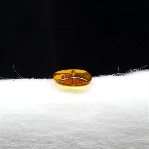 バルト海産　虫入り琥珀　12個セット　全て虫入り　本物保証　良いコンディション 美品 虫入り琥珀 琥珀 化石 本物 バルト海産 ケース付き 8.30mm