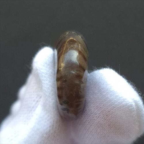 美品 アンモナイト 化石 本物 マダガスカル産 24.21mm プレゼント