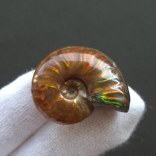 美品 アンモナイト 化石 本物 マダガスカル産 28.95mm