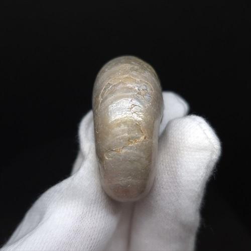 遊色 アンモナイト レインボー 化石 本物 マダガスカル産 37.37mm