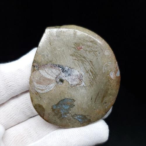 古生代 アンモナイト ゴニアタイト 化石 本物 モロッコ産 53.03