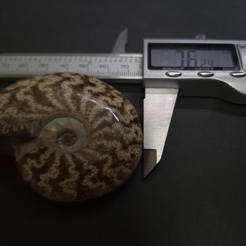 極上 縫合線 アンモナイト メノウ化 化石 本物 マダガスカル産 76.24mm 
