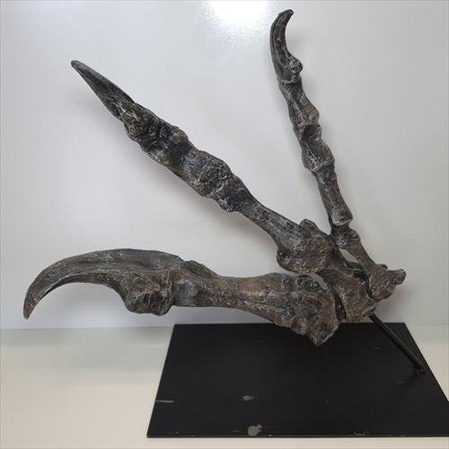 アロサウルス 爪 化石 レプリカ 約 380mm プレゼント ギフト arr22