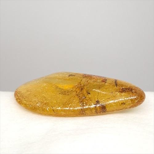 美品 虫入り コパール 化石 天然 マダガスカル海産 51.16mm プレゼント 