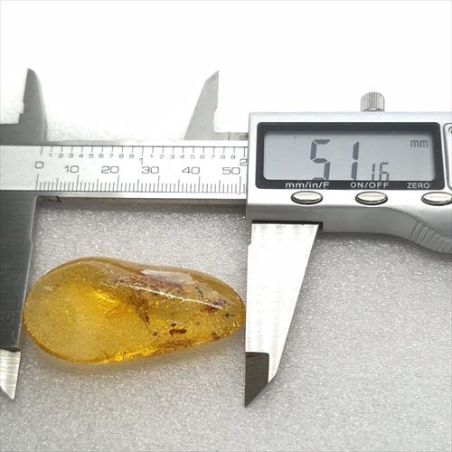 美品 虫入り コパール 化石 天然 マダガスカル海産 51.16mm プレゼント 