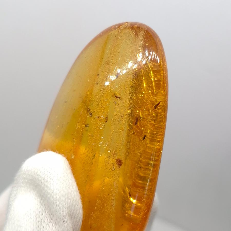 美品 虫入り コーパル 化石 天然 マダガスカル海産 61.25mm プレゼント 