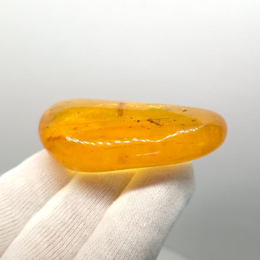 美品 虫入り コーパル 化石 天然 マダガスカル海産 61.25mm プレゼント 