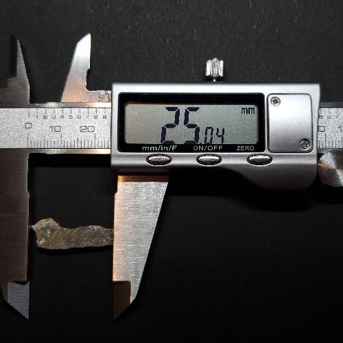 恐竜 卵 化石 本物 フランス産 25.04mm ケース付き プレゼント ギフト 