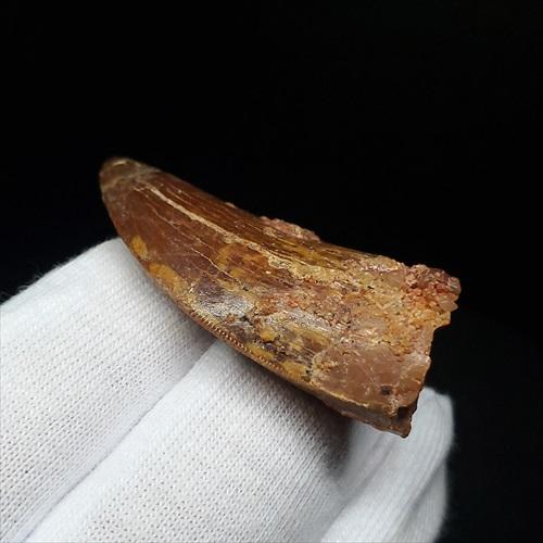 モロッコ産｜154×83cm｜メダリオン ラグ vintage rugモロッコ産｜154