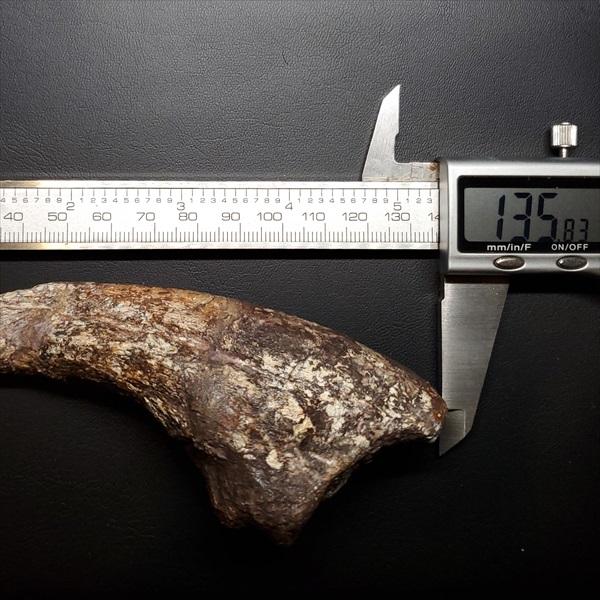 ミュウ 化石の秘密 ミュウ R: 旧裏[PMCG3](拡張パック 第3弾 「化石の秘密」)の新品