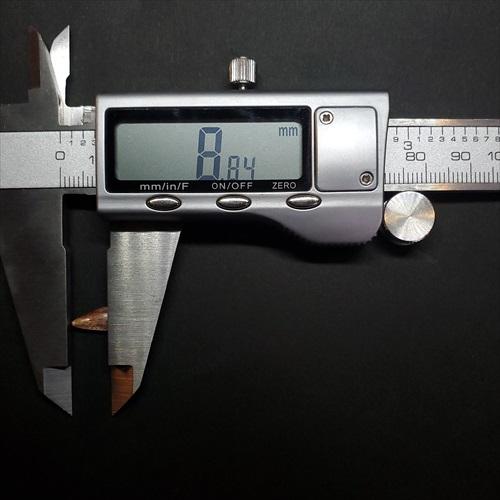 希少 ポストスクス 爬虫類 歯 化石 本物 ニューメキシコ産 8.84mm