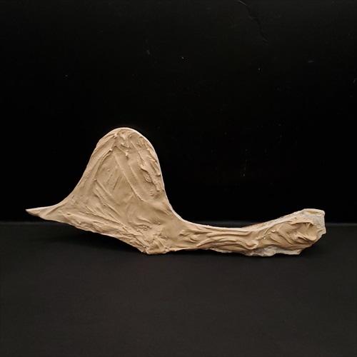 博物館級 タペヤラ 化石 下顎 恐竜 本物 ブラジル産 225mm プレゼント