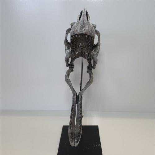 美品 ラプトル 頭骨 化石 レプリカ 250mm プレゼント ギフト rpr4