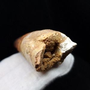 美品 スピノサウルス 本物 モロッコ産 94.41mm プレゼント ギフト 