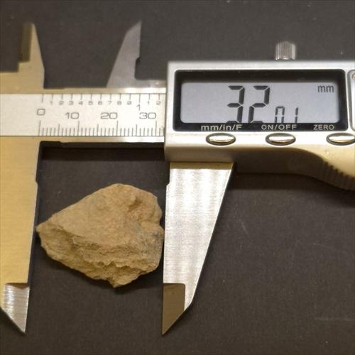 ティラノサウルス 化石 骨 本物 アメリカ産 32.01mm ケース付き