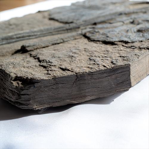 極上 ウミユリ トラウマトクリヌス 化石 本物 貴州省産 46cm um1 極上 ウミユリ トラウマトクリヌス 化石 本物 貴州省産 46cm