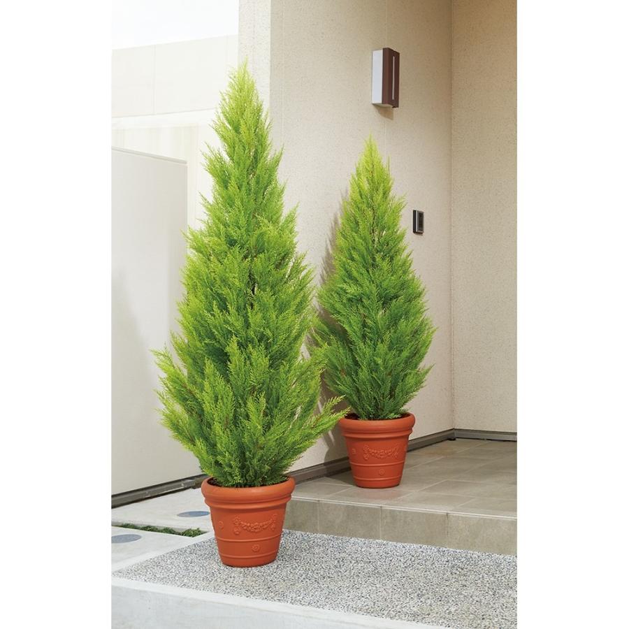 インテリア雑貨 日用品 インテリアグリーン ｃｔ触媒グリーン インテリアツリー 花 ガーデニング 5645 日用品 ディノス家具ショッピング店 人工観葉植物ゴールドクレスト 高さ190cm 人工観葉植物ゴールドクレスト 販売プロモーション