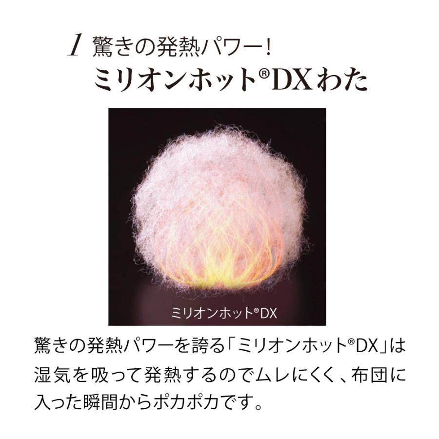 ≪クイーンセット≫ 【ディノス限定販売】ヒートループ（R）ハイパー お得な掛け＋敷きセット 623504_3