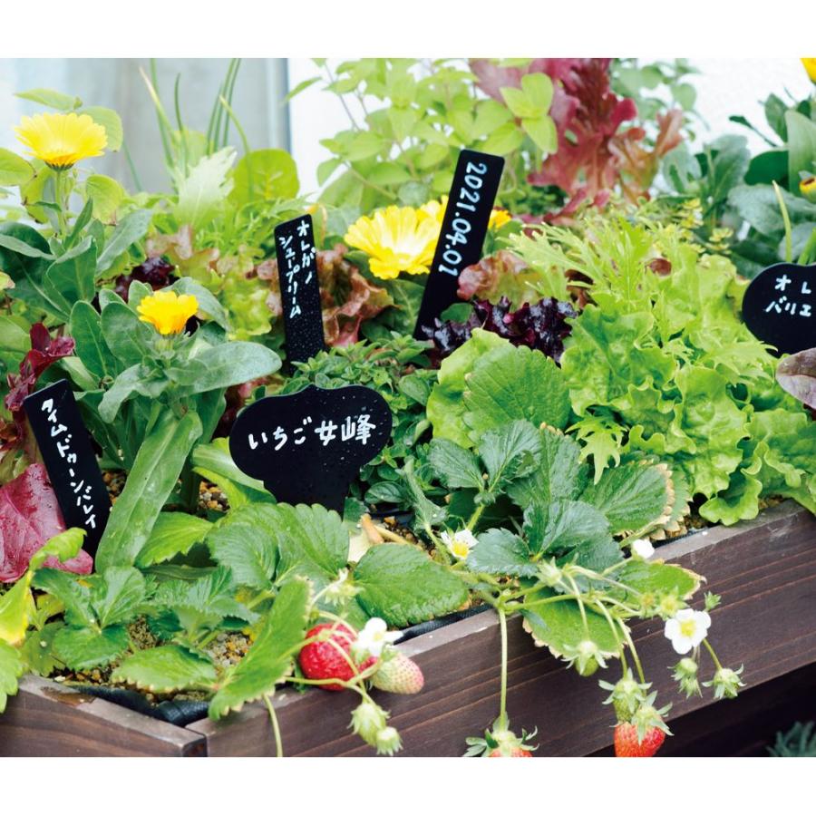 ガーデニング フラワー ガーデニング用品 エクステリア ガーデニンググッズ プランツネーム ストレートプレート ストレート18本組 G ディノス家具yahoo ショッピング店 通販 Yahoo ショッピング