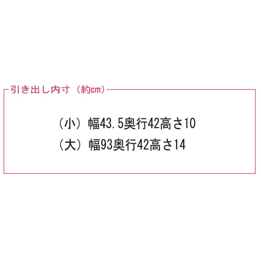 【日本製】奥行50cm隠しキャスター付きクローゼットチェスト 幅100cm・6段 衣類収納 押入れ クローゼット収納 632948 ディノス_6