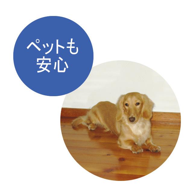 業務用ワックス「抗菌プロビュー」2Lセット（約60畳分） 掃除 お手入れ用品 手入れ リフォーム用品 651476_4