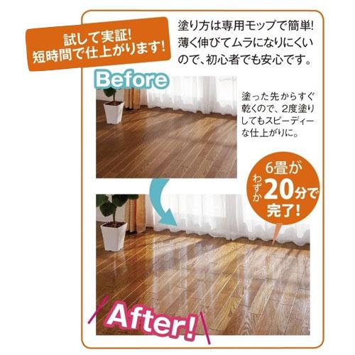 業務用ワックス「抗菌プロビュー」2Lセット（約60畳分） 掃除 お手入れ用品 手入れ リフォーム用品 651476_6