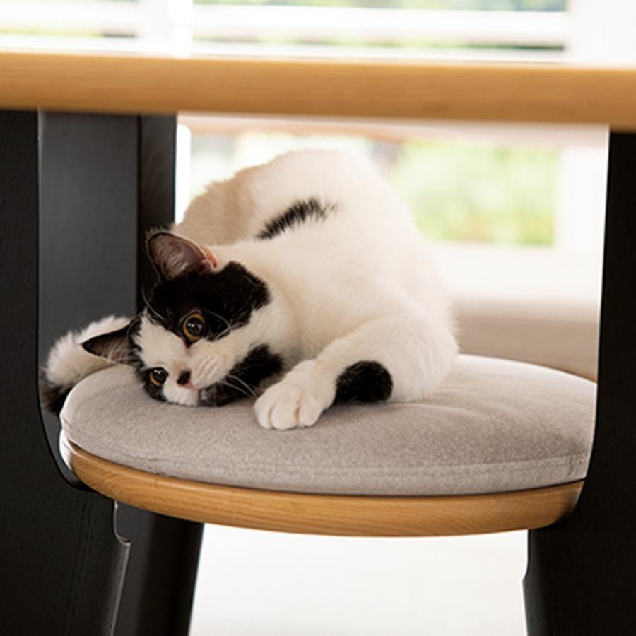 旅行用品 ホビー ペット ペット用品 猫と暮らす家具 オーク天然木のネコとくつろぐ ダイニングテーブル専用 棚用クッション 667535|dinos-kagu|02