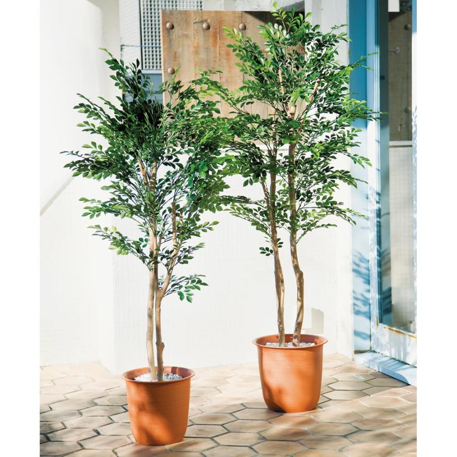 現金特価 インテリア雑貨 日用品 インテリアグリーン ｃｔ触媒グリーン インテリアツリー 高さ1cm 人工観葉植物シマトネリコ １鉢 G 楽天ランキング1位 Www Tiebreak Fr