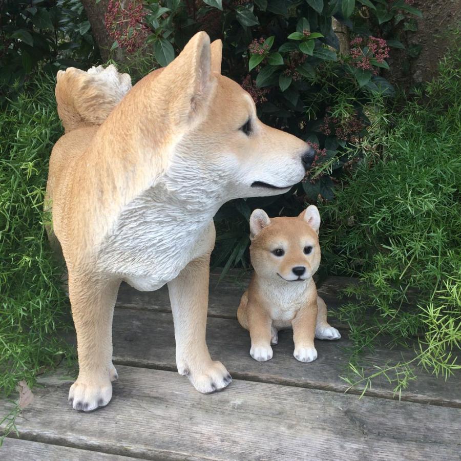 dinos（ディノス） 可愛い 玄関 庭 置き物 犬好き 芝犬 飾り おしゃれ