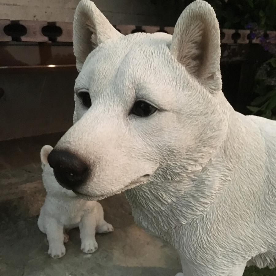 ■Timさま専用　■手のりサイズの白柴ちゃん　■送料込み dinos（ディノス） 白柴犬のオーナメント 親 ガーデン 置物 G02718