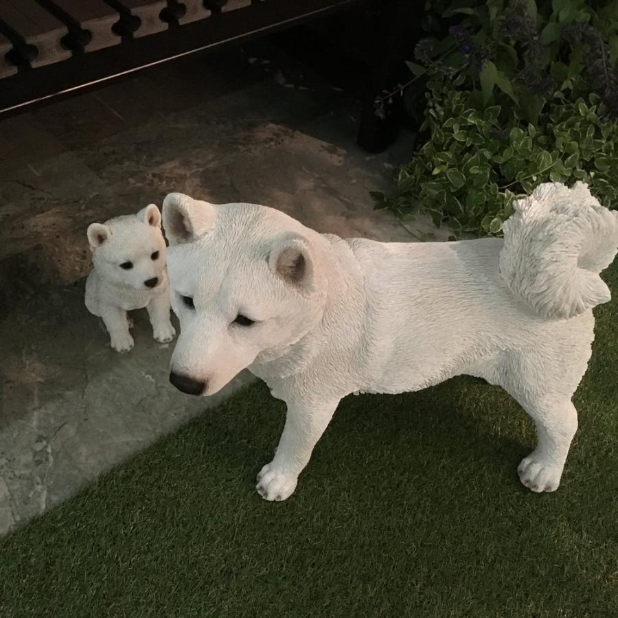 dinos ガーデン 置物 白柴犬のオーナメント 親 G87911 dinos ガーデン 置物 白柴犬のオーナメント 親 G87911