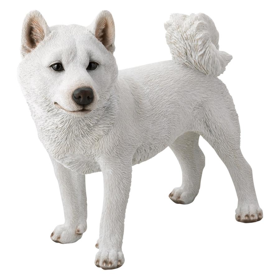 ティン柴 dinos 白柴犬のオーナメント 親 ガーデン 置物 G87911